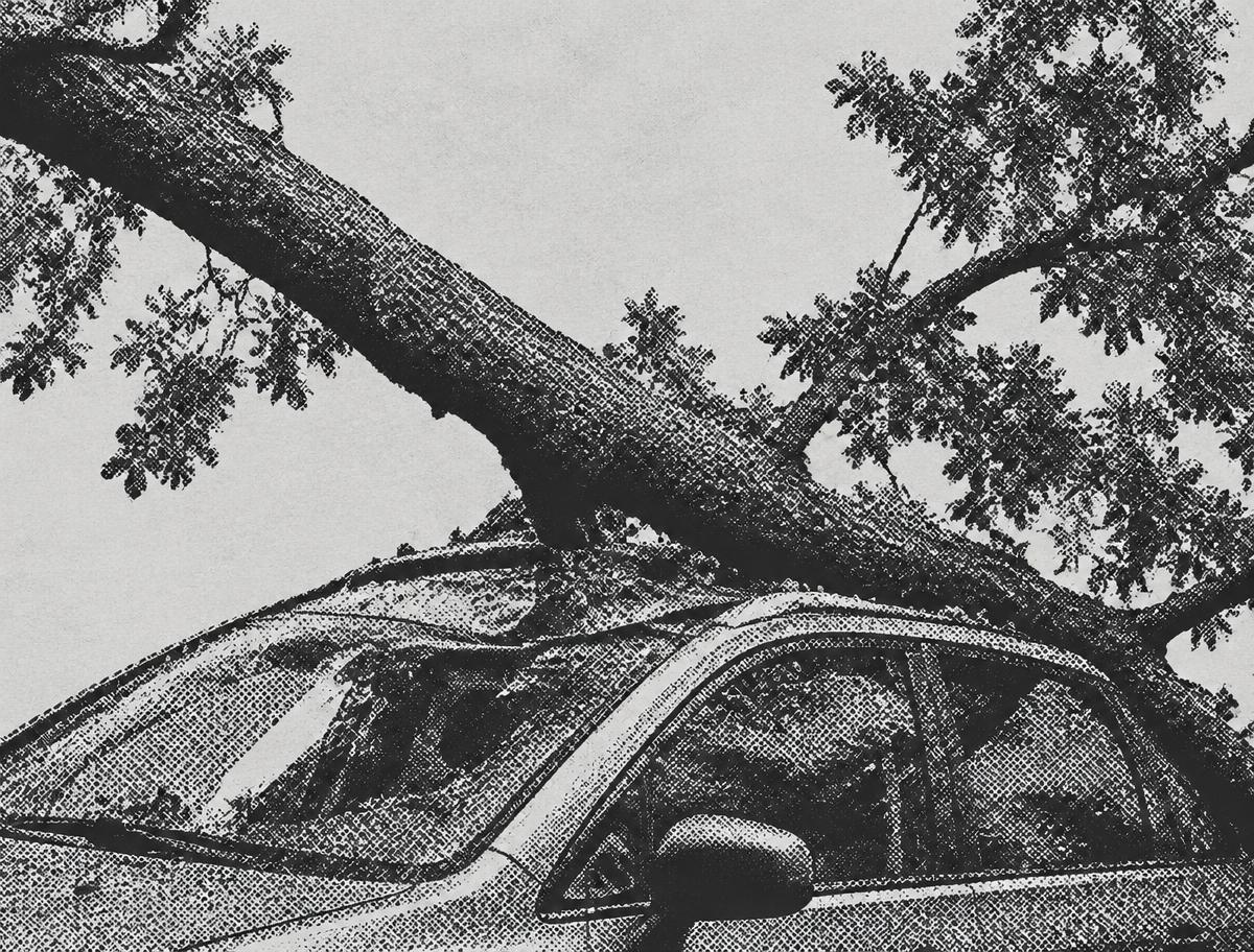 Halftone print of a tree branch fallen on a car roof